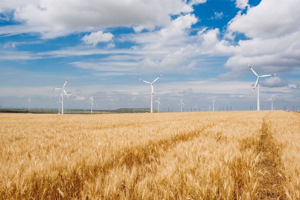 Projects of the State Atomic Energy Corporation Rosatom (ROSATOM) in wind power