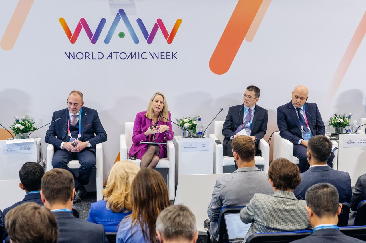 Сырьевое обеспечение атомной энергетики обсудили на WAW-2025