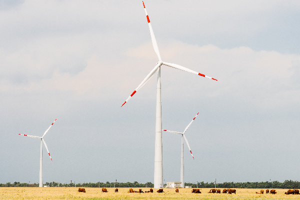 АО «Росатом Возобновляемая энергия» получило разрешение на строительство в Ставропольском крае Симоновской ВЭС