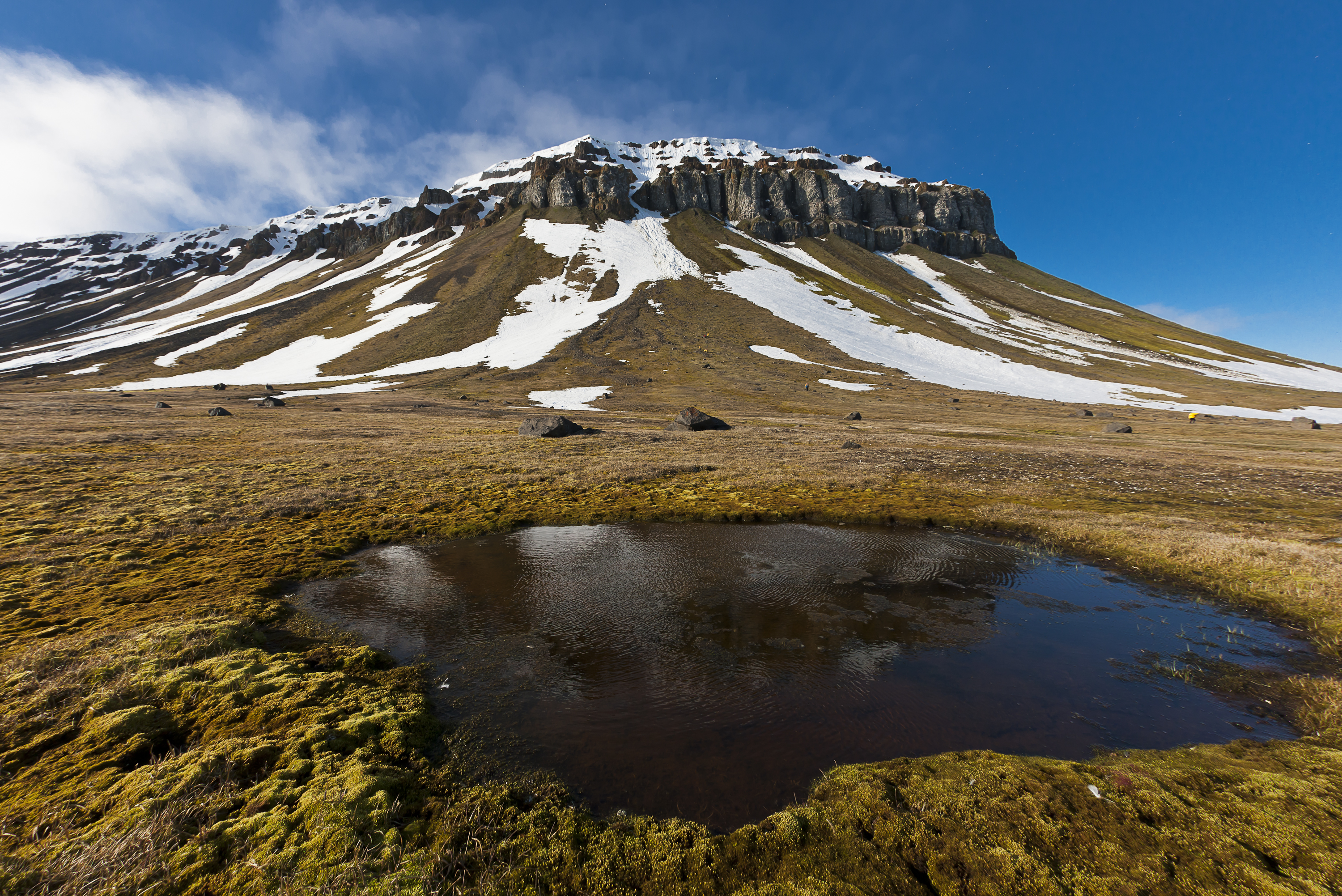 Photo: Ecology. Nature of the Arctic