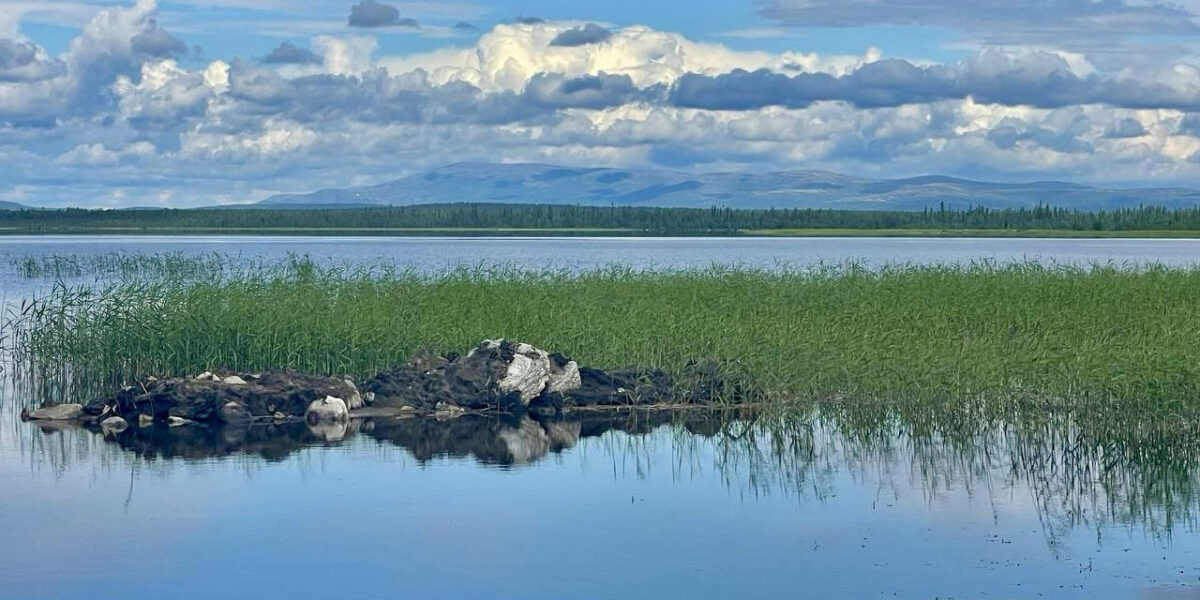 23 проекта из «атомных» городов вошли в Гостеприимный акселератор «Росатома»