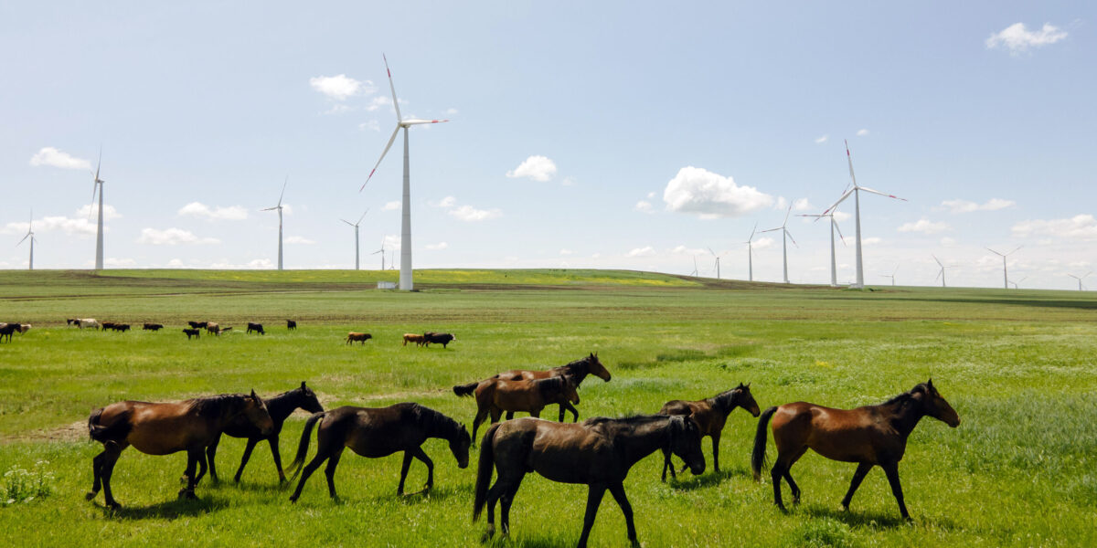 Environmental aspects and myths
