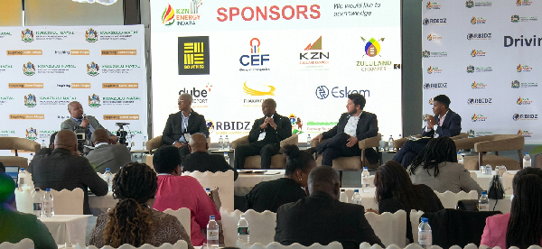 «Росатом» принял участие в обсуждении перспектив развития провинции Квазулу-Натал на Энергетическом форуме в ЮАР