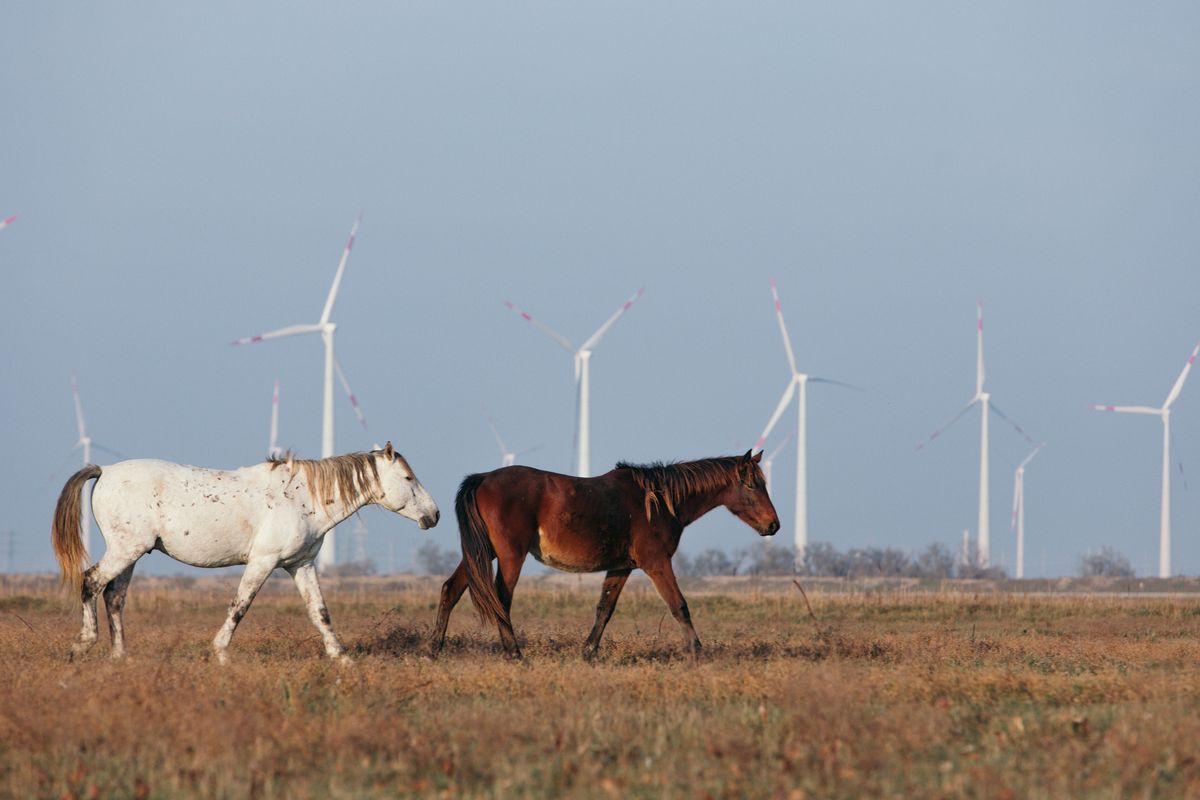 Photo: Novolakskaya WPP 