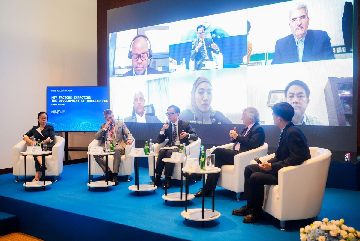 Первая экспертная сессия в рамках Платформы по атомной энергетике БРИКС прошла в Китае