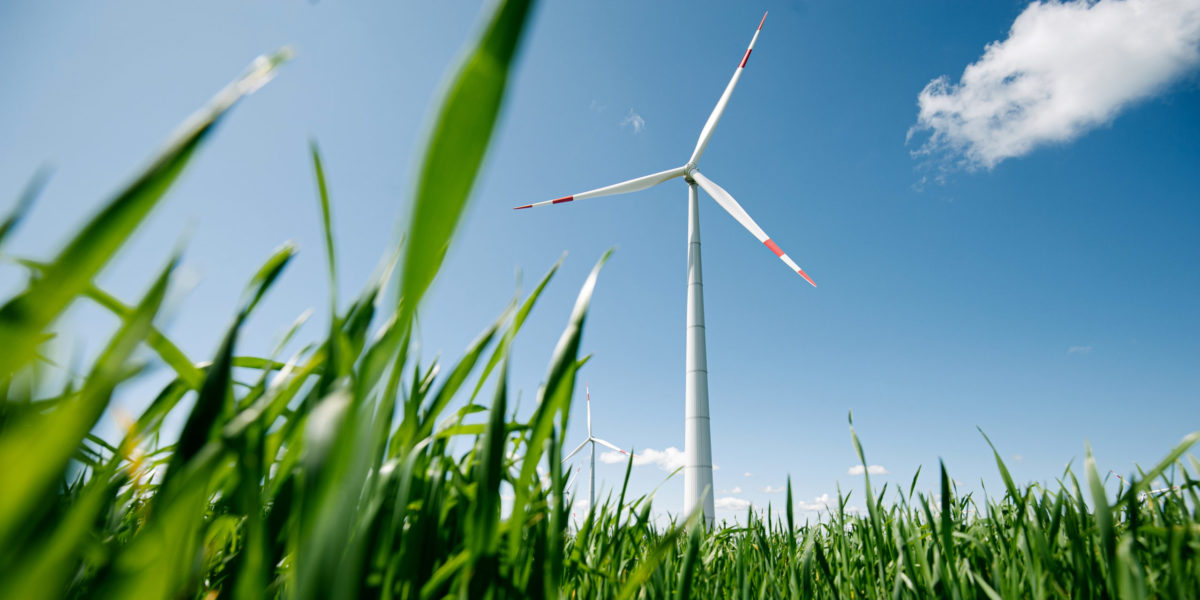 Wind power division