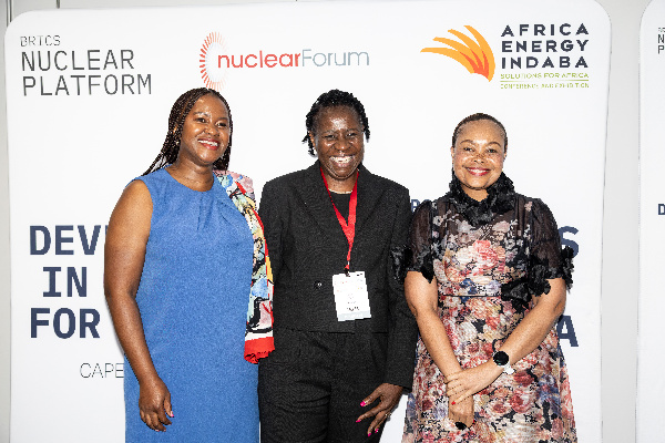 BRICS Nuclear Energy Platform brings together experts at the Nuclear Forum of the Africa Energy Indaba