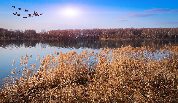 Десногорск вошел в программу «Гостеприимные города “Росатома”»