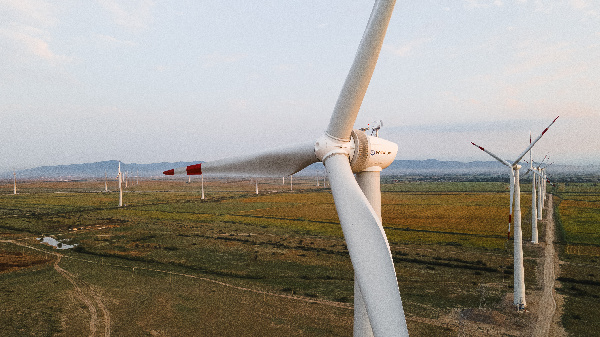 Rosatom's first facility in Dagestan becomes Russia's largest wind power plant