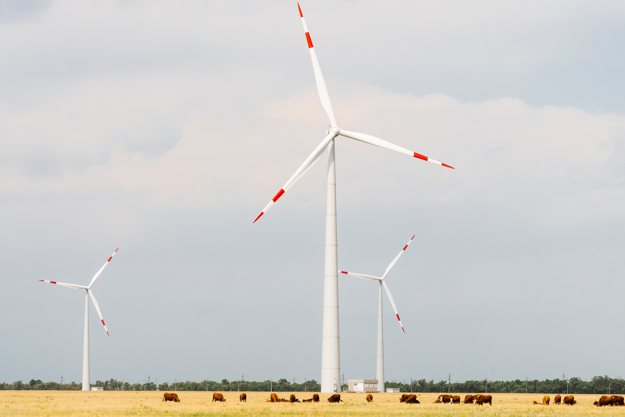 АО «Росатом Возобновляемая энергия» получило разрешение на строительство в Ставропольском крае Симоновской ВЭС